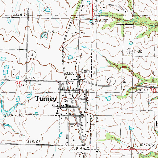 Topographic Map of Turney Cemetery, MO