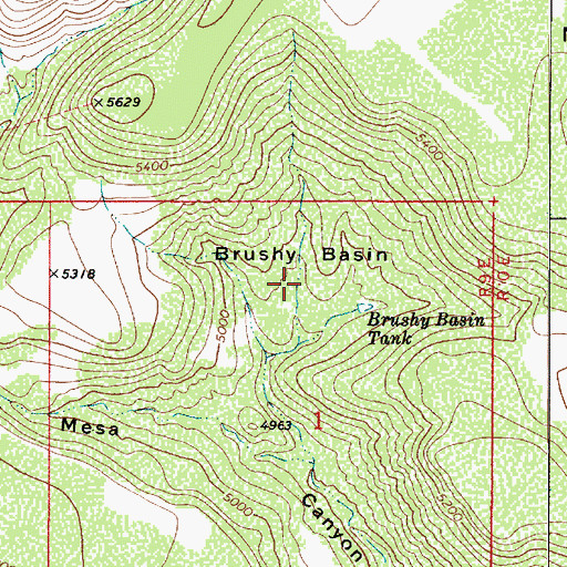 Topographic Map of Brushy Basin, AZ