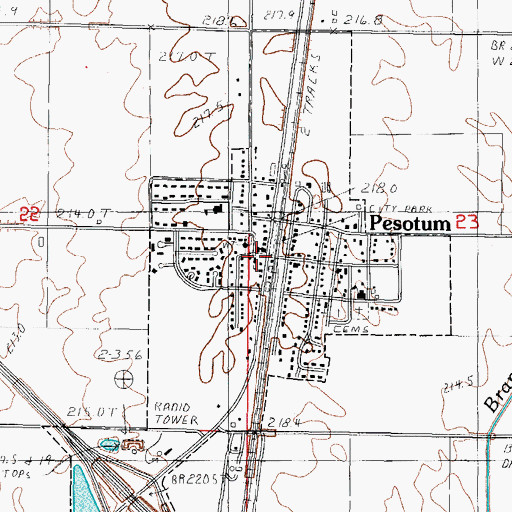 Topographic Map of Pesotum Fire Protection District 1, IL