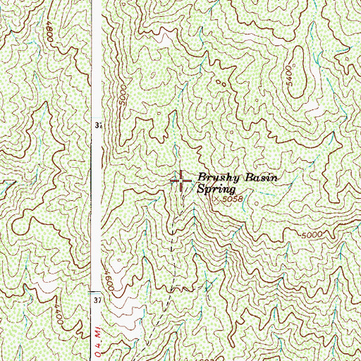 Topographic Map of Brushy Basin Spring, AZ