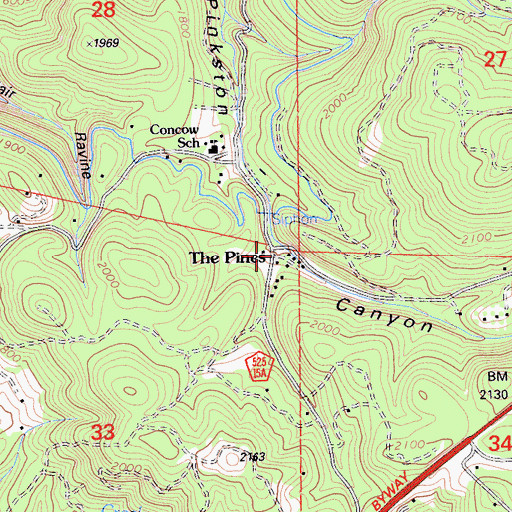 Topographic Map of The Pines, CA