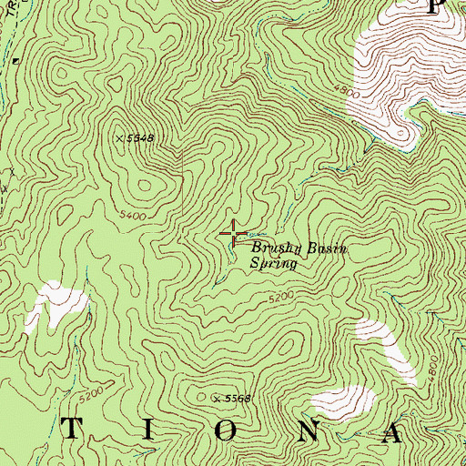 Topographic Map of Brushy Basin Spring, AZ