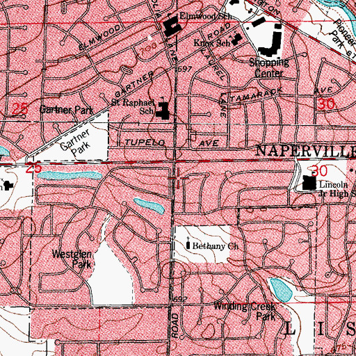 Topographic Map of Naperville Fire Department Station 8, IL