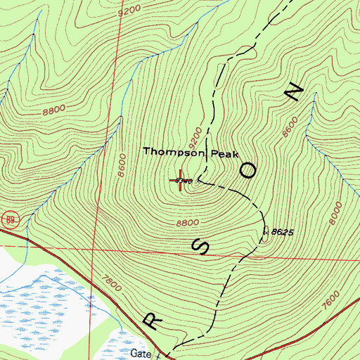 Topographic Map of Thompson Peak, CA