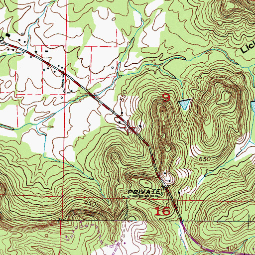 Topographic Map of Spring Valley Volunteer Fire Department, AL