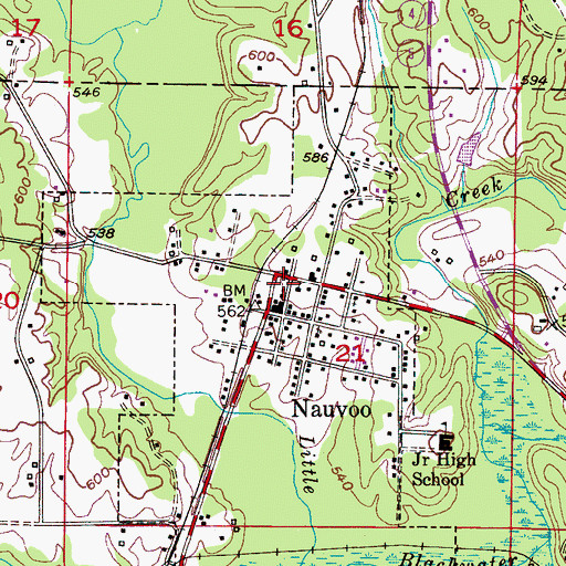 Topographic Map of Nauvoo Volunteer Fire Department, AL