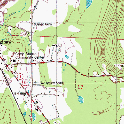 Topographic Map of Saginaw Volunteer Fire Department, AL