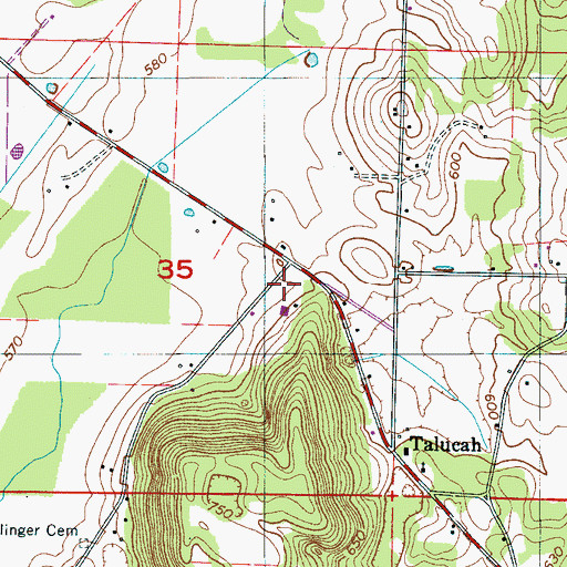 Topographic Map of Talucah Volunteer Fire Department, AL