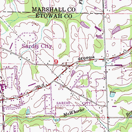 Topographic Map of Sardis City Volunteer Fire Department, AL