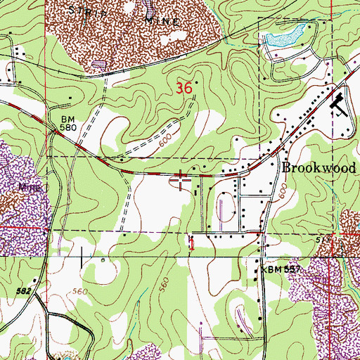 Topographic Map of Brookwood Volunteer Fire Department, AL