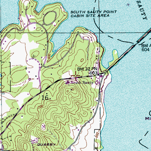 Topographic Map of South Sauty Volunteer Fire Department, AL