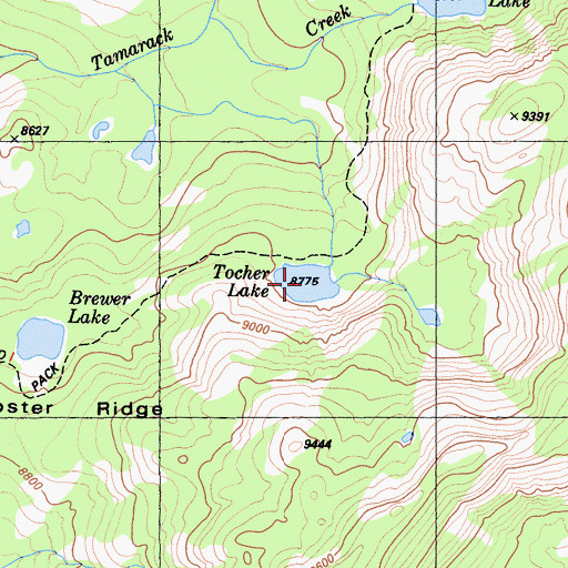 Topographic Map of Tocher Lake, CA