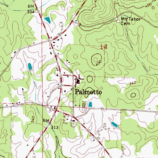 Topographic Map of Palmetto Volunteer Fire Department, AL