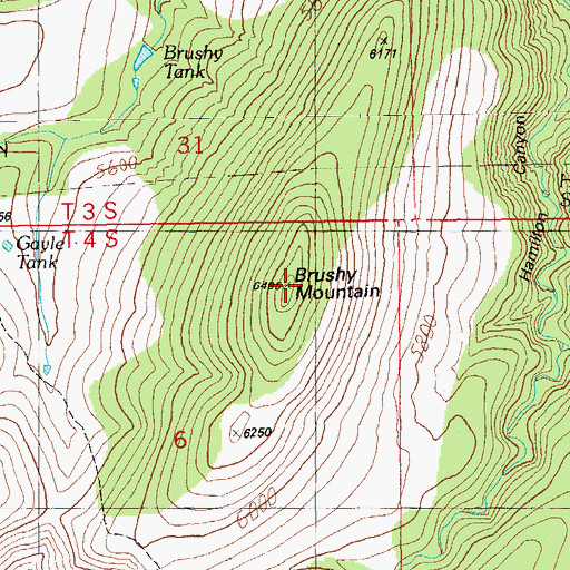 Topographic Map of Brushy Mountain, AZ