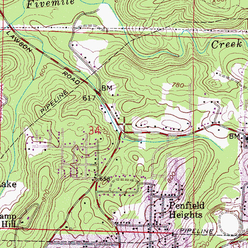 Topographic Map of Birmingham Fire and Rescue Service Station 29, AL