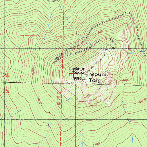 Topographic Map of Mount Tom, CA