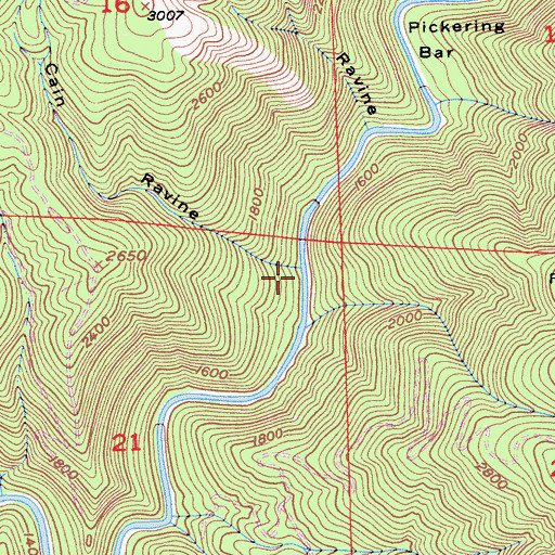 Topographic Map of Tommy Cain Ravine, CA