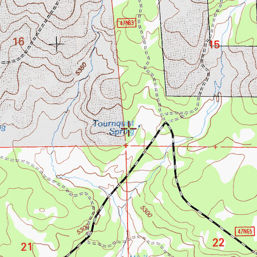Topographic Map of Tournquist Spring, CA