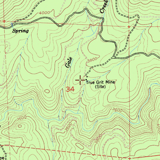 Topographic Map of True Grit Mine, CA