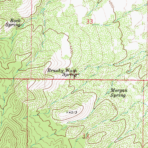 Topographic Map of Brushy Wash Spring, AZ