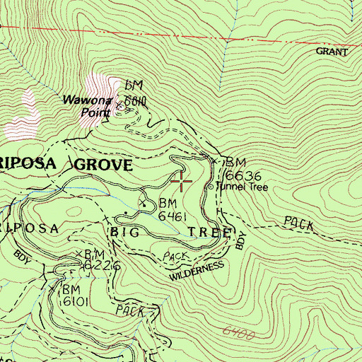 Topographic Map of Tunnel Tree, CA