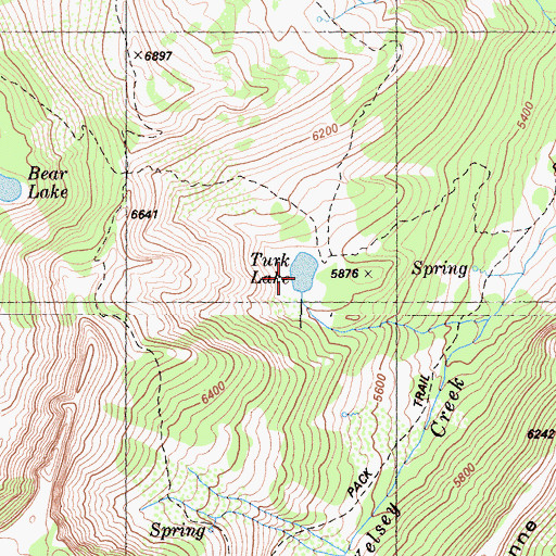 Topographic Map of Turk Lake, CA