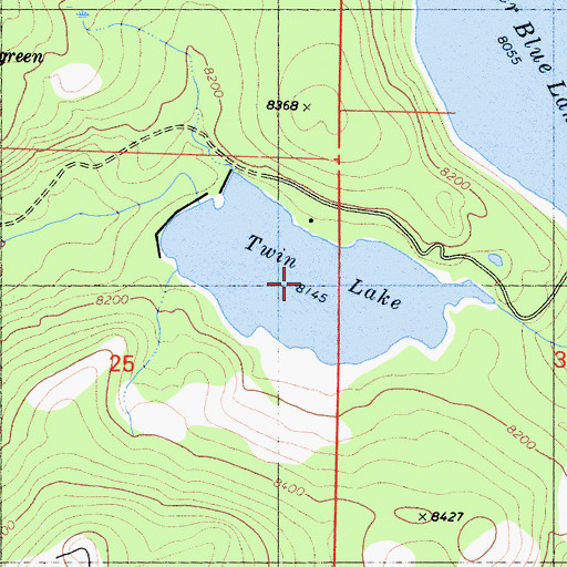 Topographic Map of Twin Lake, CA
