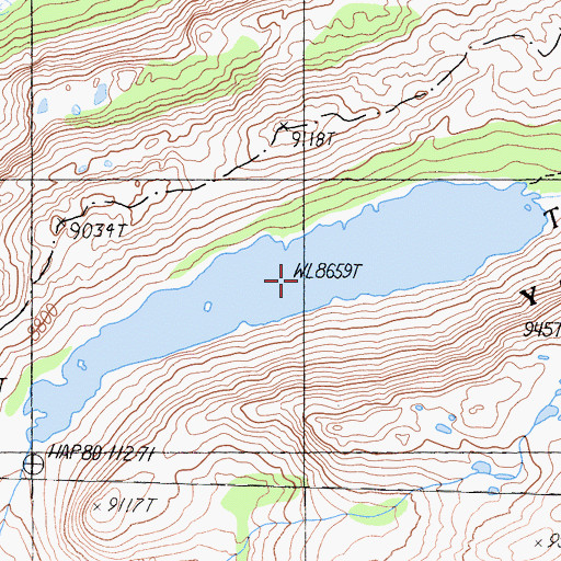 Topographic Map of Twin Lakes, CA