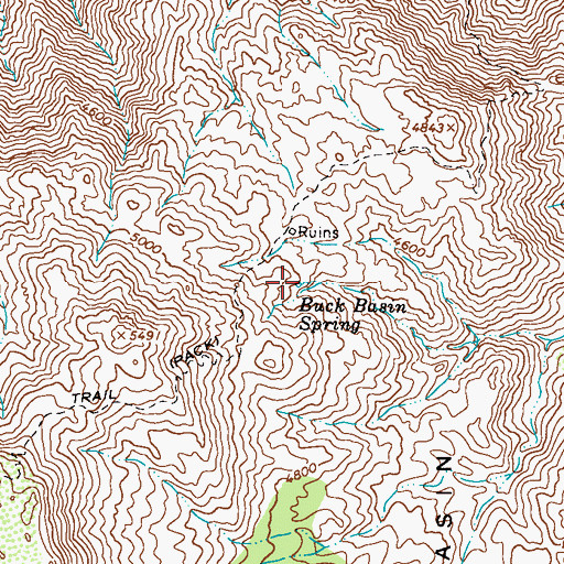 Topographic Map of Buck Basin Spring, AZ