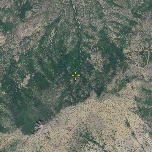 Aerial/Satellite Image of Upper Maple Spring, CA