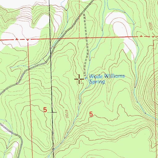 Topographic Map of Wade Williams Spring, CA