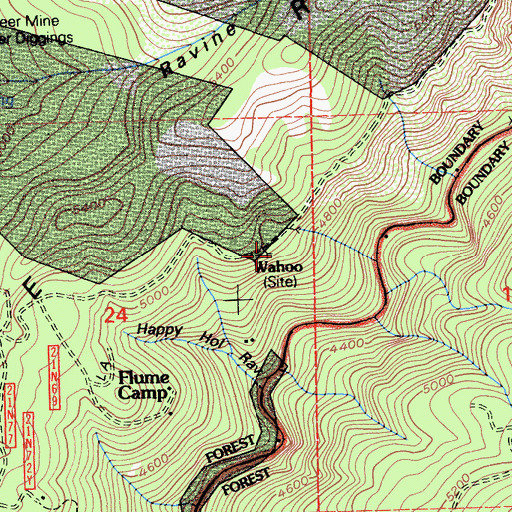 Topographic Map of Wahoo, CA