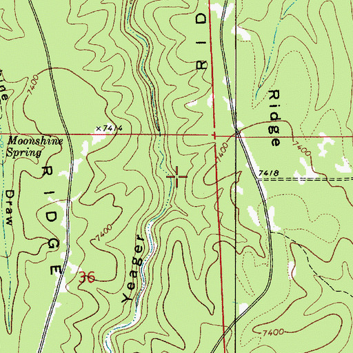 Topographic Map of Buck Springs Ridge, AZ