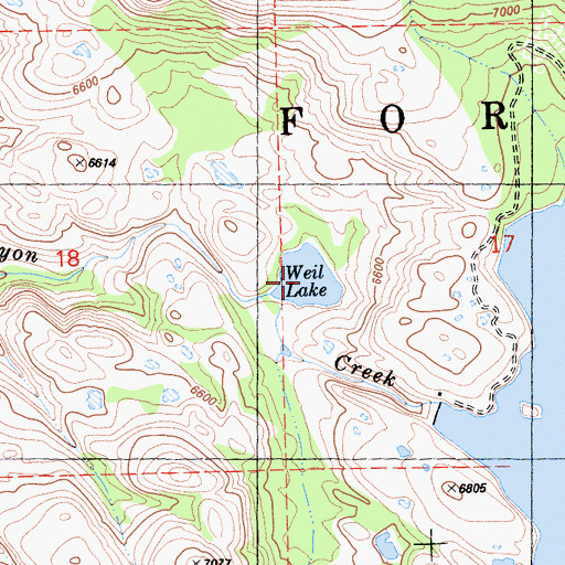 Topographic Map of Weil Lake, CA