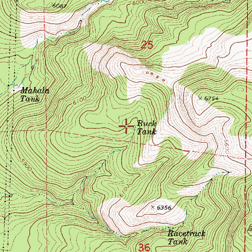 Topographic Map of Buck Tank, AZ