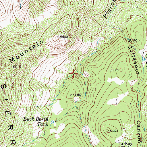 Topographic Map of Buck Tank Canyon, AZ