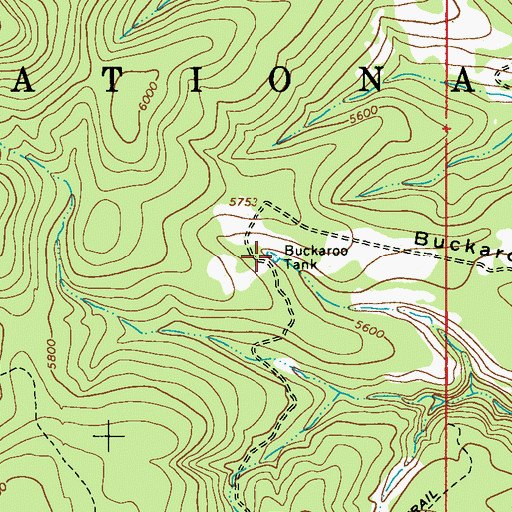 Topographic Map of Buckaroo Tank, AZ