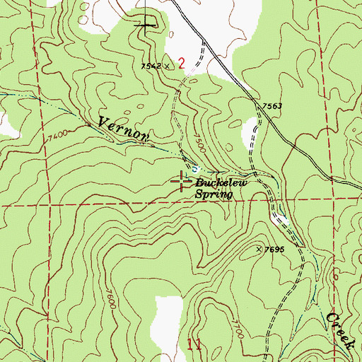 Topographic Map of Buckelew Spring, AZ