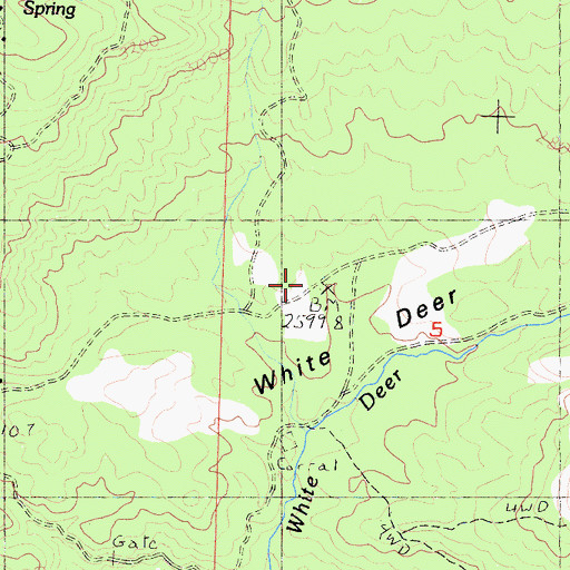 Topographic Map of White Deer Flat, CA
