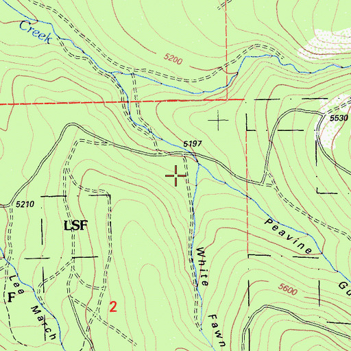 Topographic Map of White Fawn Gulch, CA