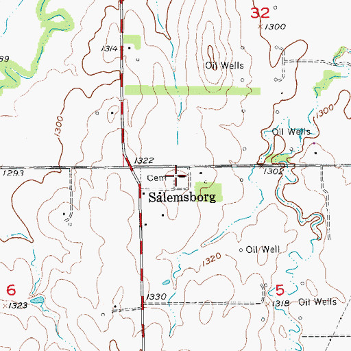 Topographic Map of Salemsborg Lutheran Church, KS