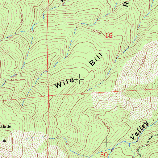 Topographic Map of Wild Bill Ridge, CA
