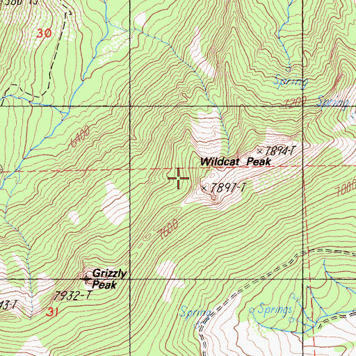 Topographic Map of Wildcat Peak, CA
