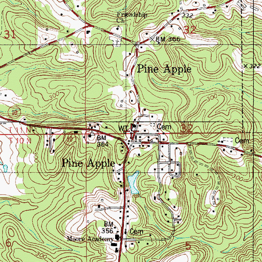 Topographic Map of Pine Apple Volunteer Fire Department, AL