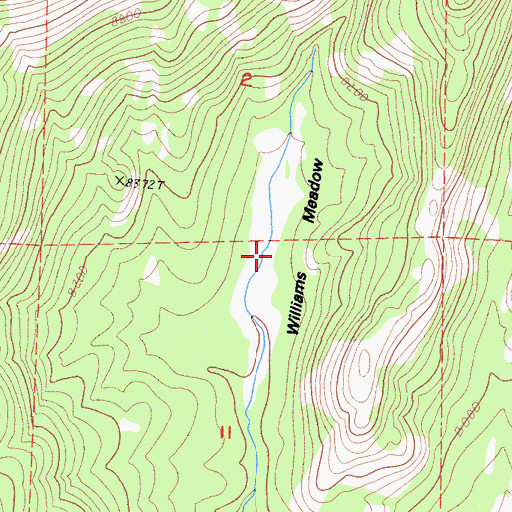 Topographic Map of Williams Meadow, CA