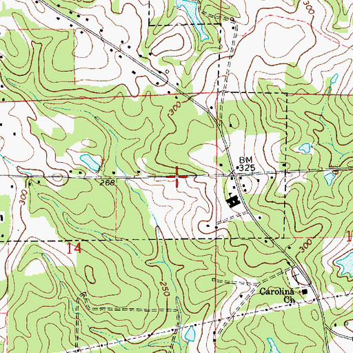 Topographic Map of Carolina Volunteer Fire Department, AL