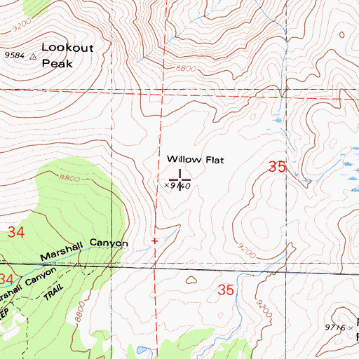 Topographic Map of Willow Flat, CA