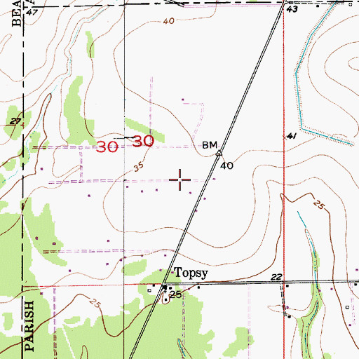 Topographic Map of Jefferson Davis Parish Fire District 7, LA
