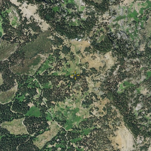 Aerial/Satellite Image of Windy Camp, CA