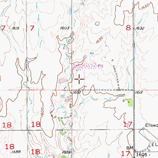 Topographic Map of Ellsworth County C and D Landfill, KS